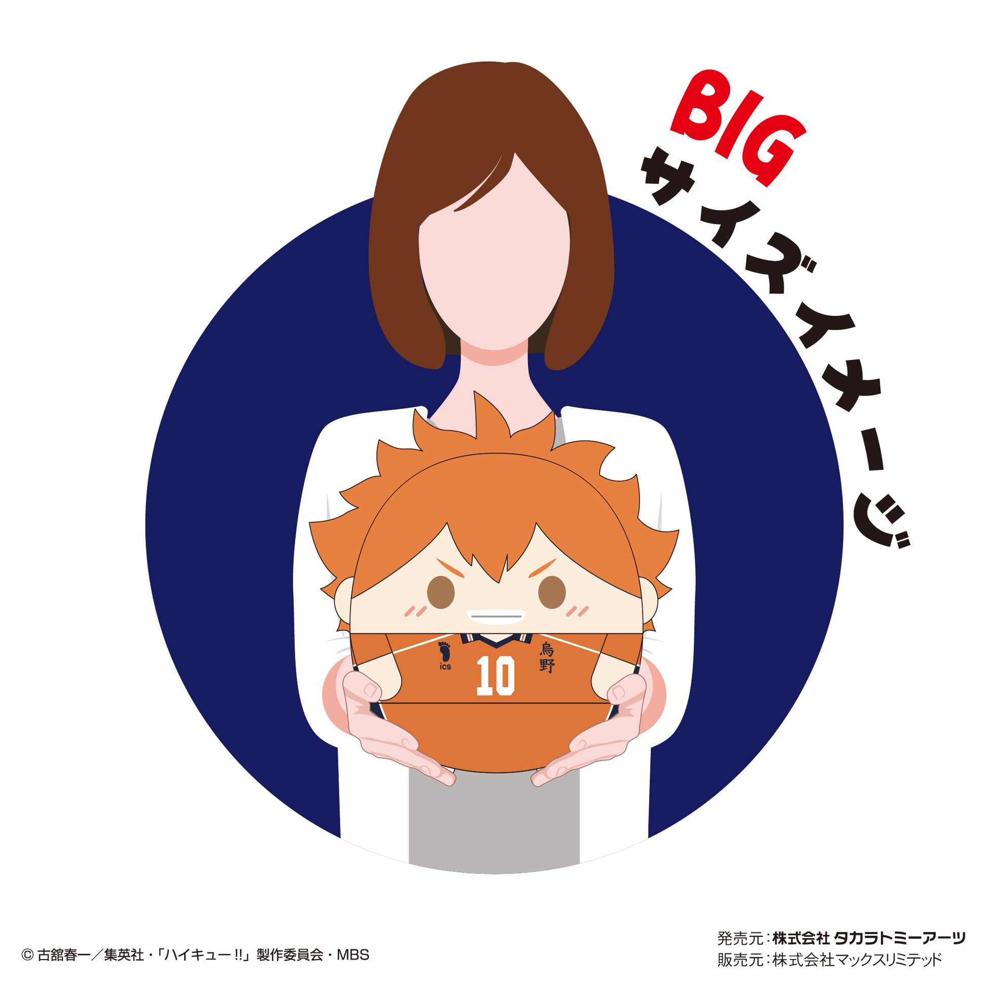 ハイキュー!!_ふわコロりんBIG5 C 松川一静