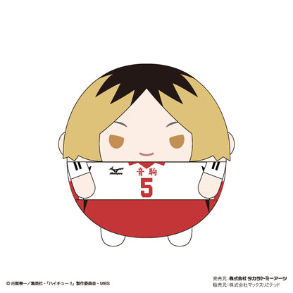 ハイキュー!!_HQ-35 ふわコロりん 6