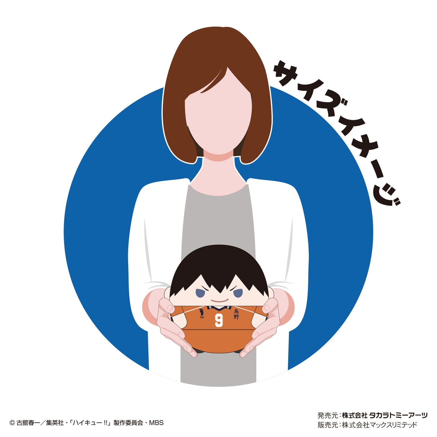 ハイキュー!!_ふわコロりんMsize6 B 菅原孝支