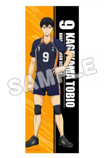 ハイキュー!!_B2ハーフタペストリー/影山飛雄