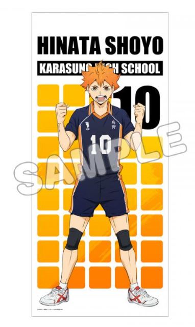 ハイキュー!!_ほぼ等身大タペストリー/日向翔陽