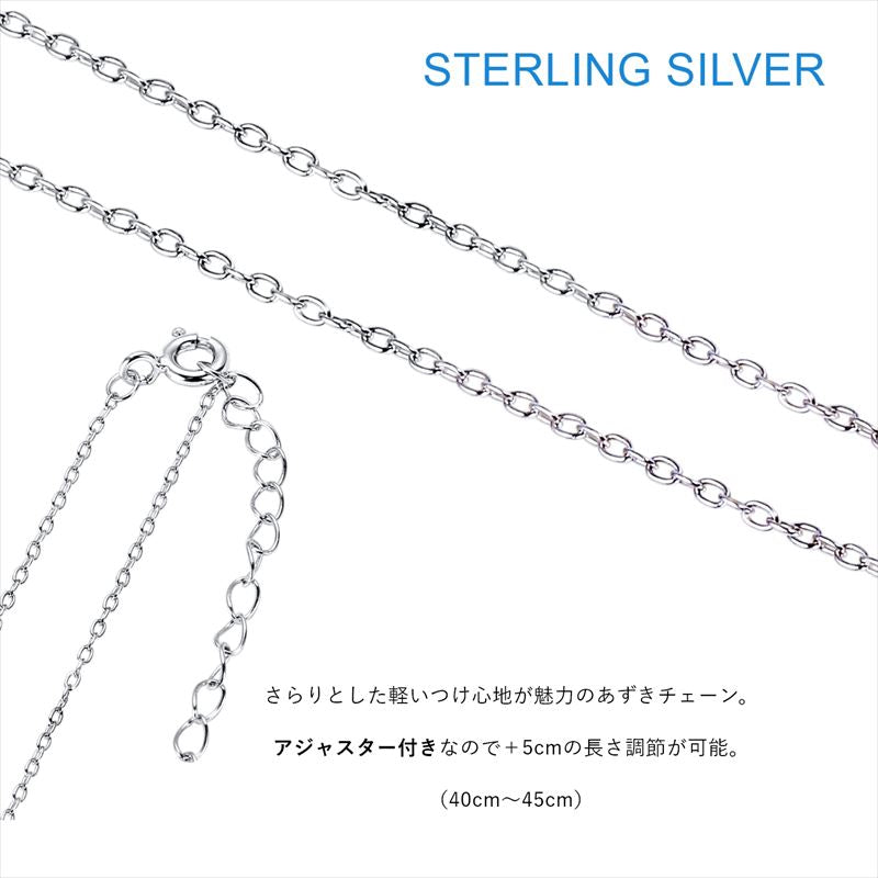 ブルーロック_シルバーネックレス 潔世一