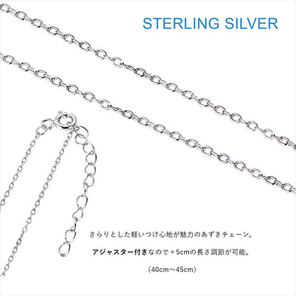 ブルーロック_シルバーネックレス 潔世一