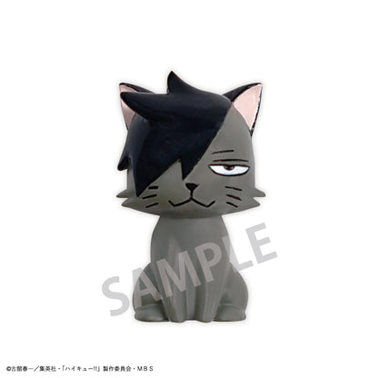 ハイキュー!!_バスボール 1BOX