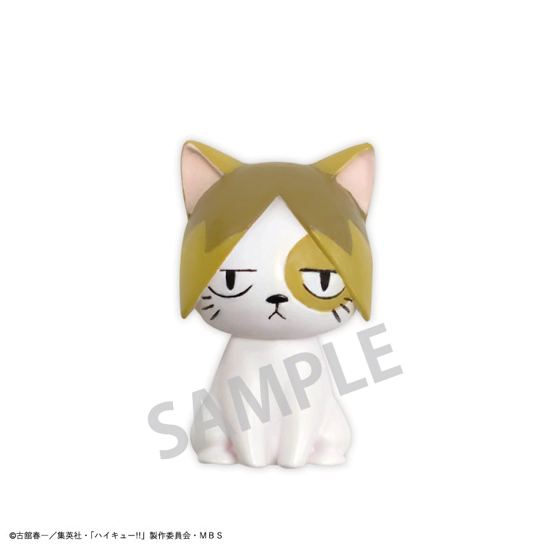 ハイキュー!!_バスボール 1BOX