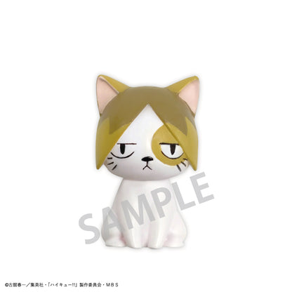 ハイキュー!!_バスボール 1BOX