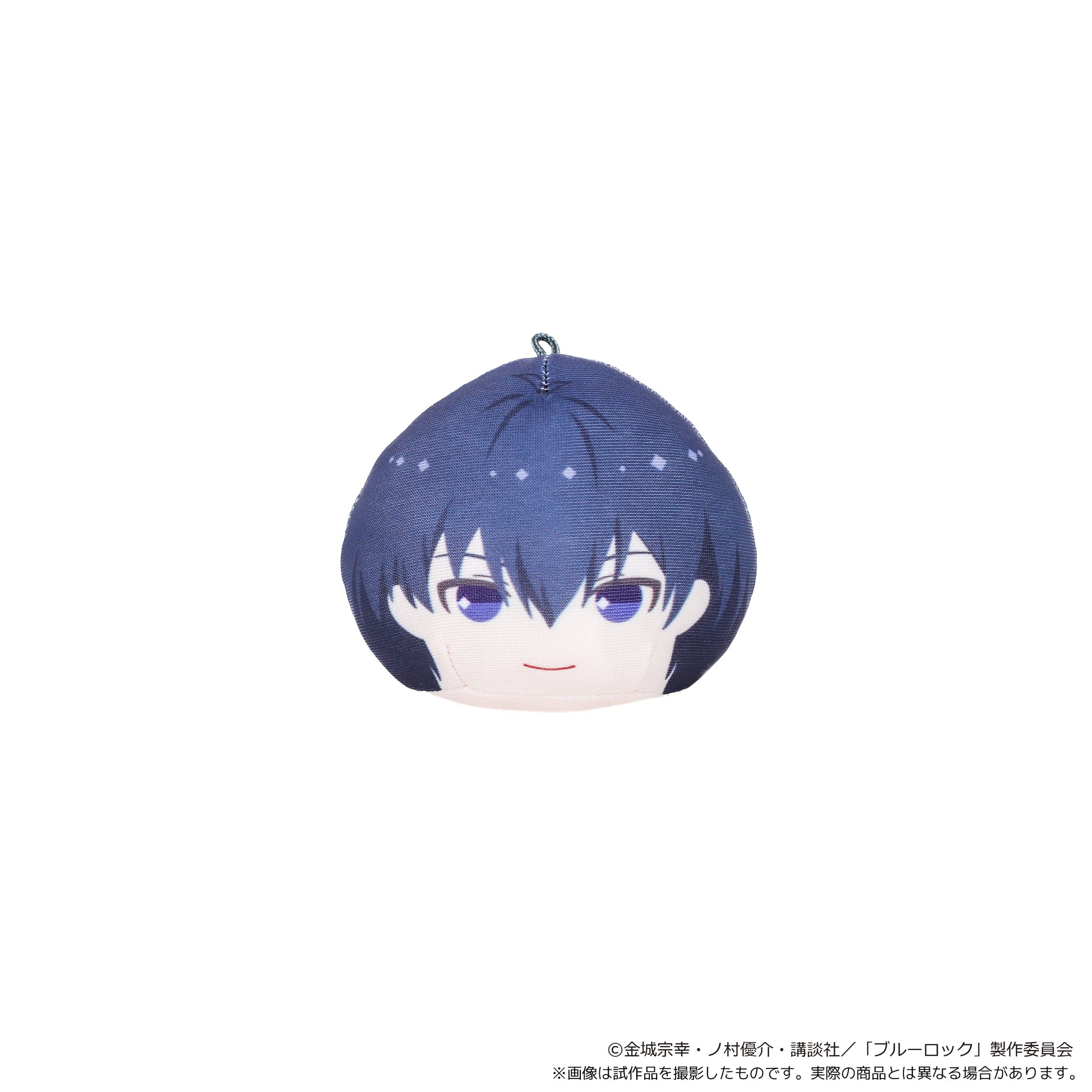 ブルーロック_あにずきん【BOX】