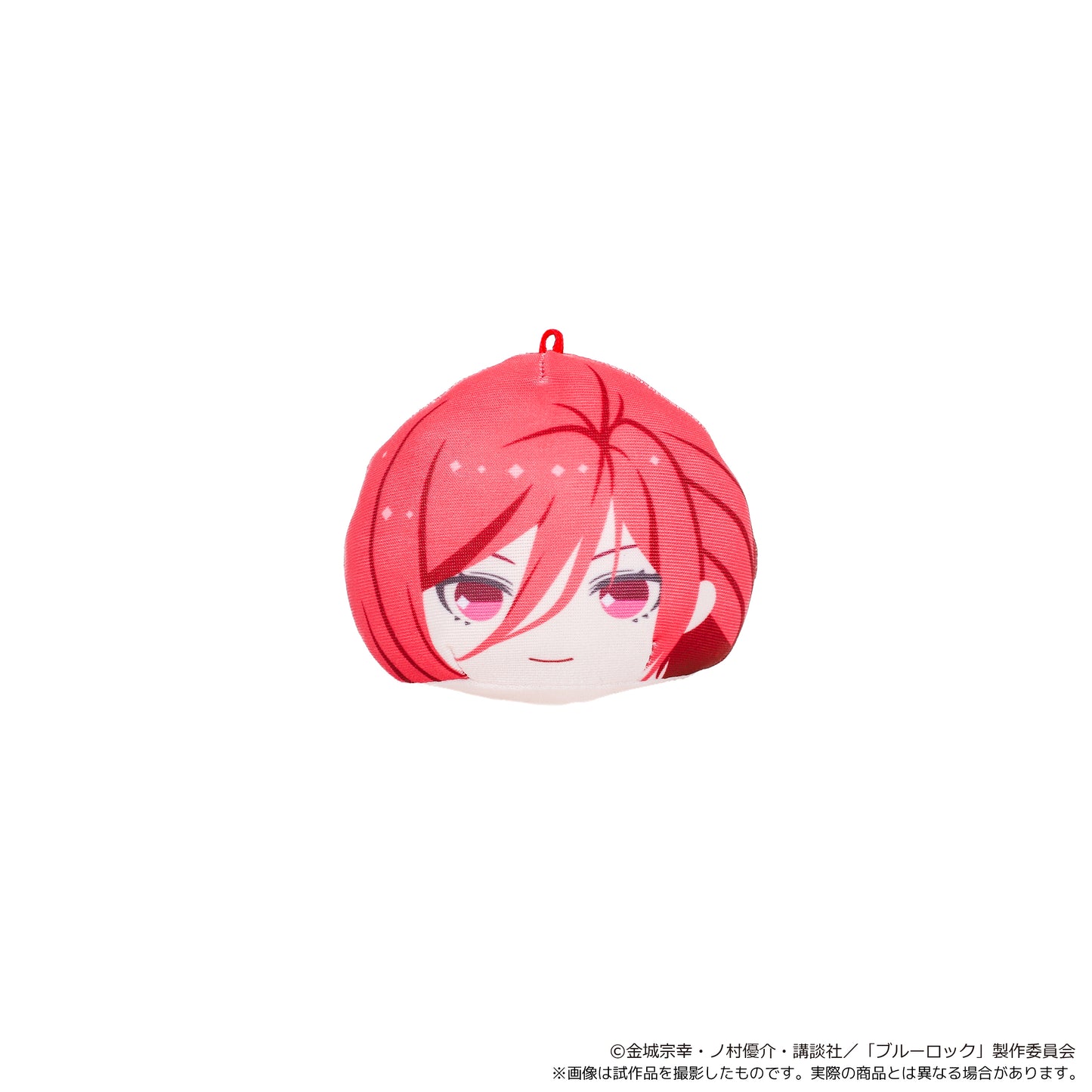 ブルーロック_あにずきん【BOX】