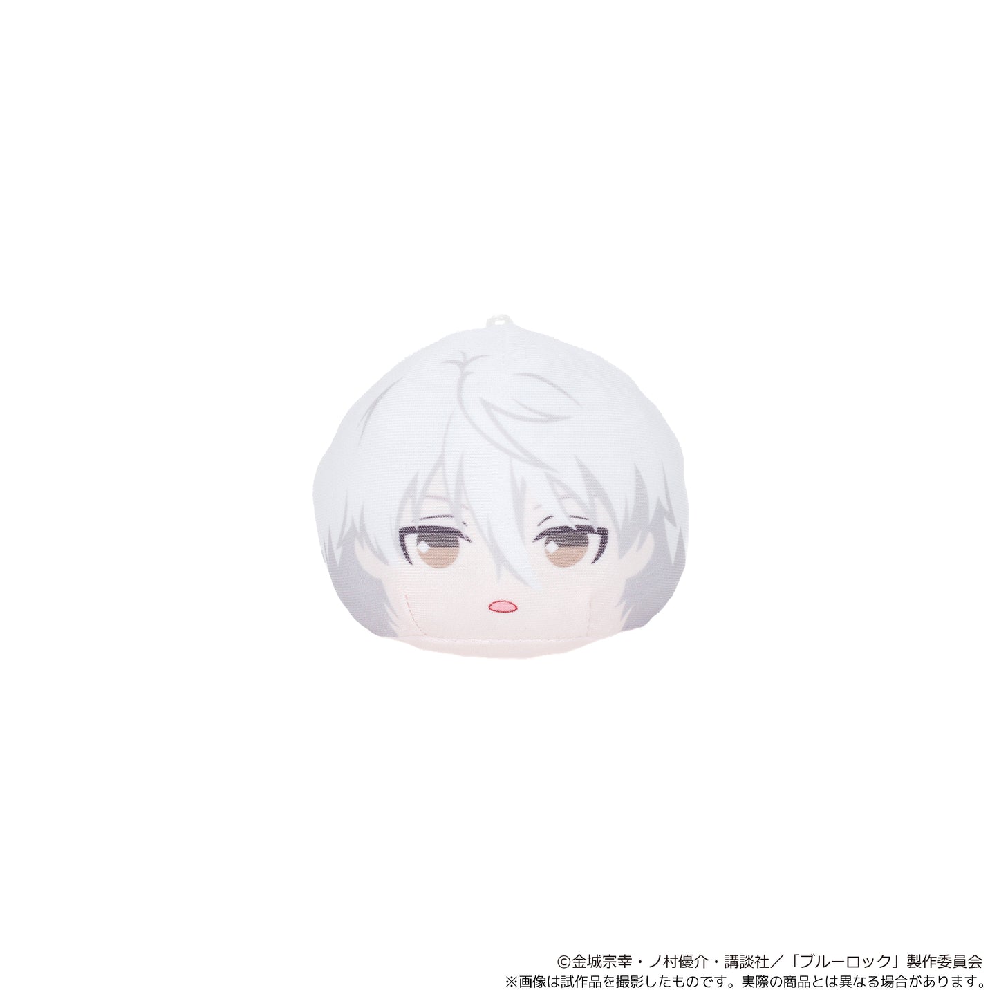 ブルーロック_あにずきん【BOX】