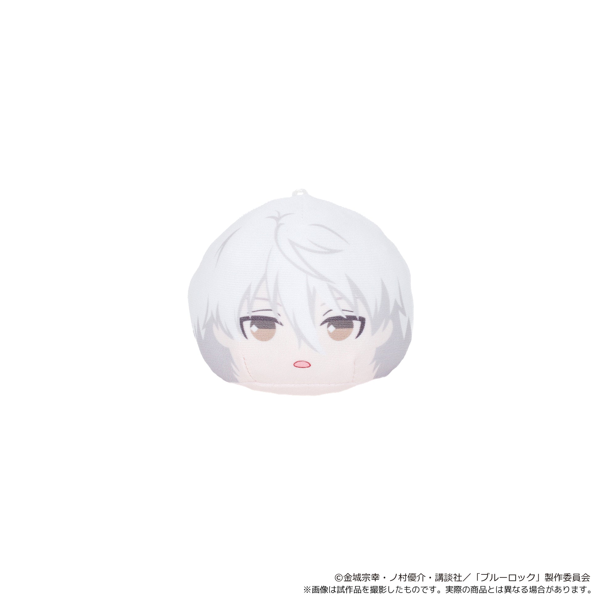 ブルーロック_あにずきん【BOX】