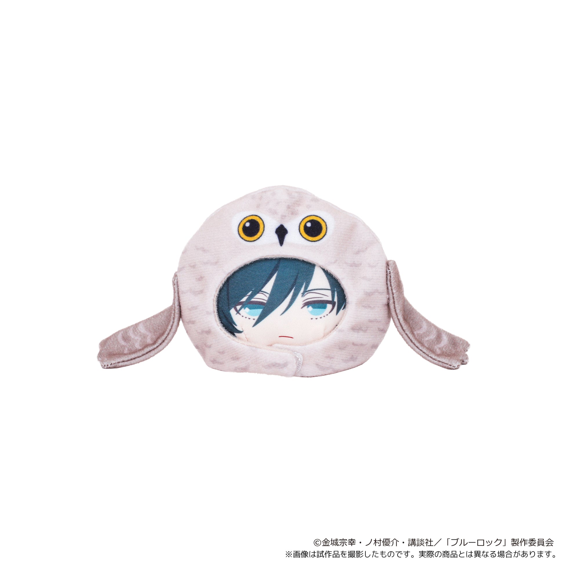 ブルーロック_あにずきん【BOX】