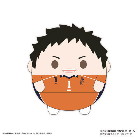 ハイキュー!!_ふわコロりんBIG7 A:澤村大地