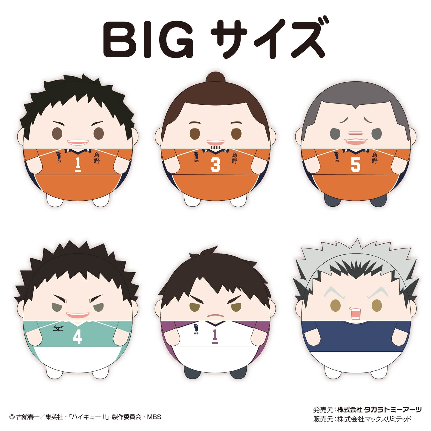 ハイキュー!!_ふわコロりんBIG7 C:田中龍之介