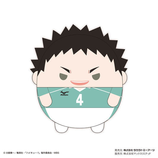 ハイキュー!!_ふわコロりんBIG7 D:岩泉 一