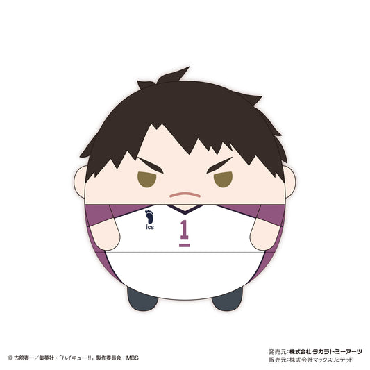 ハイキュー!!_ふわコロりんBIG7 F:牛島若利