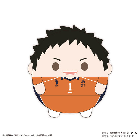 ハイキュー!!_ふわコロりんMsize7 A:澤村大地