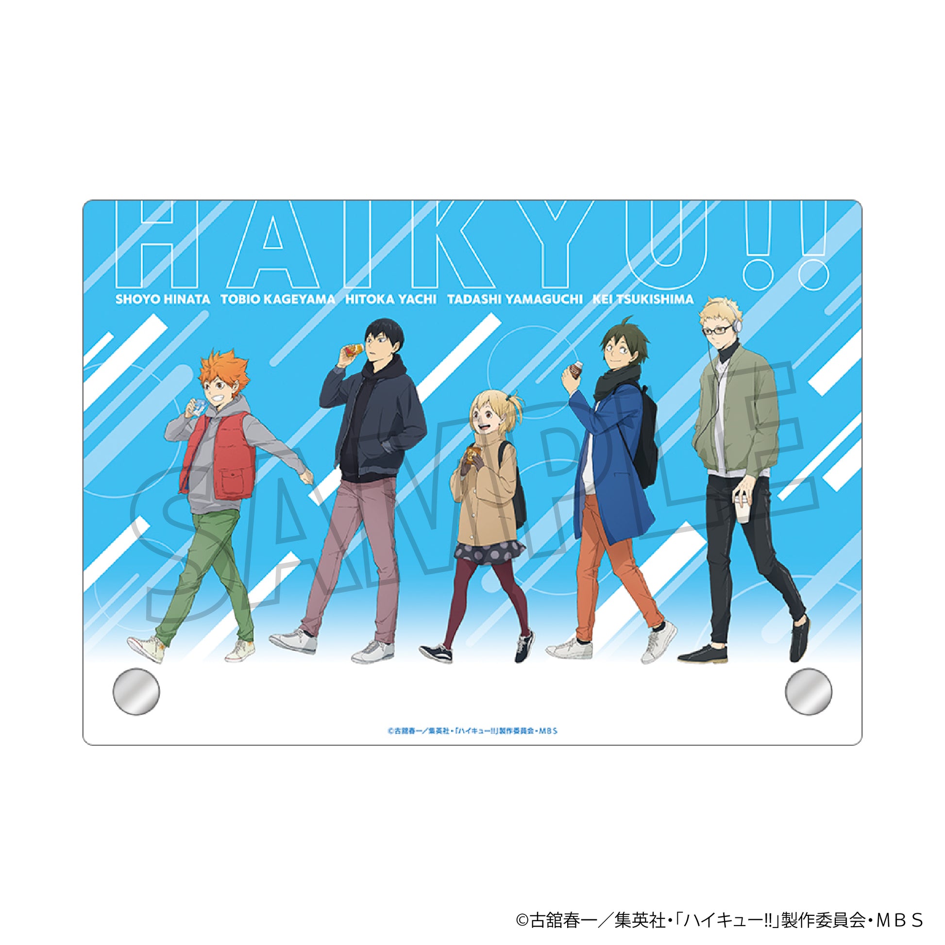 ハイキュー!! TO THE TOP_アクリルアートパネル／烏野高校