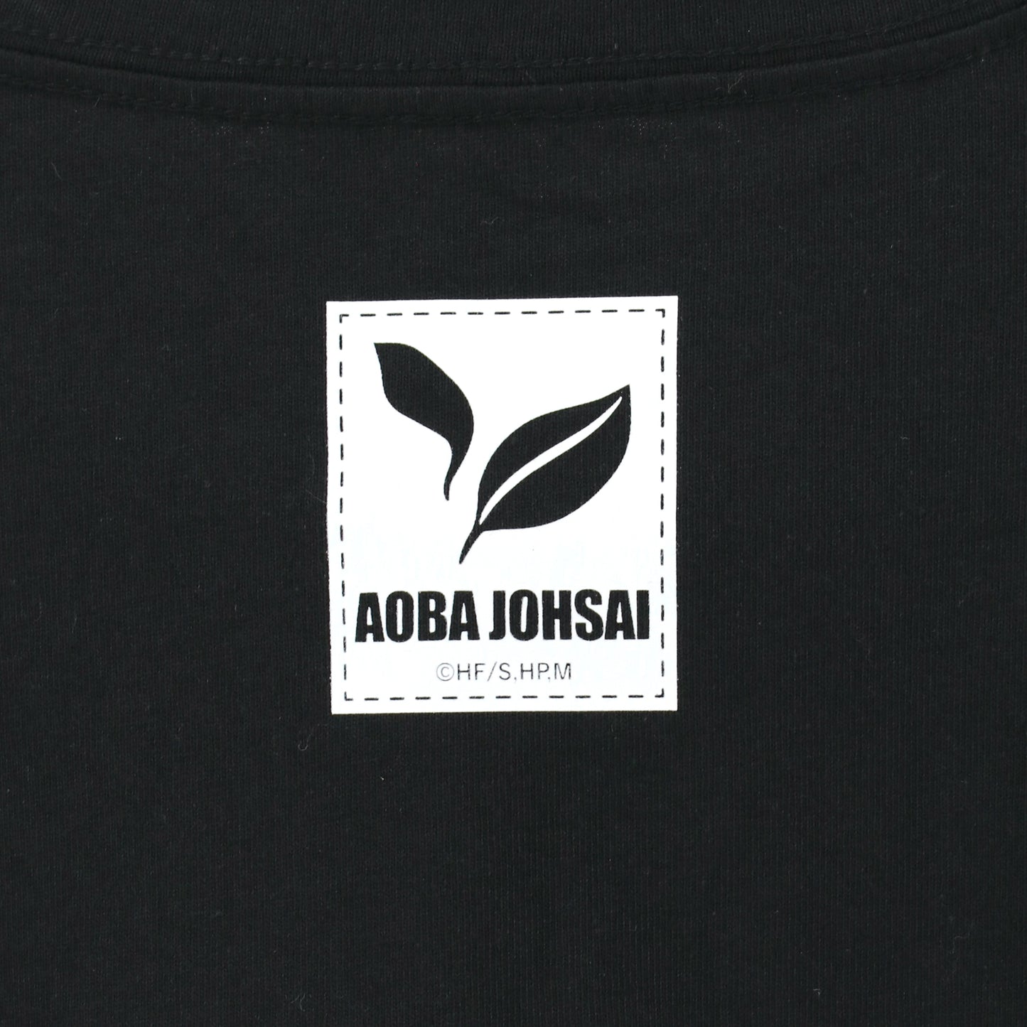 ハイキュー!! TO THE TOP_袖プリントTシャツ（青葉城西高校）