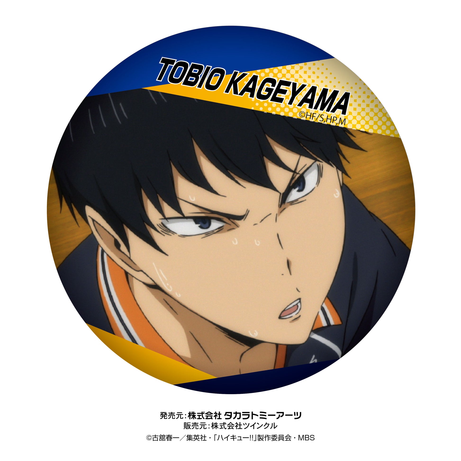 ハイキュー!!_百面相缶バッジvol.2 1BOX