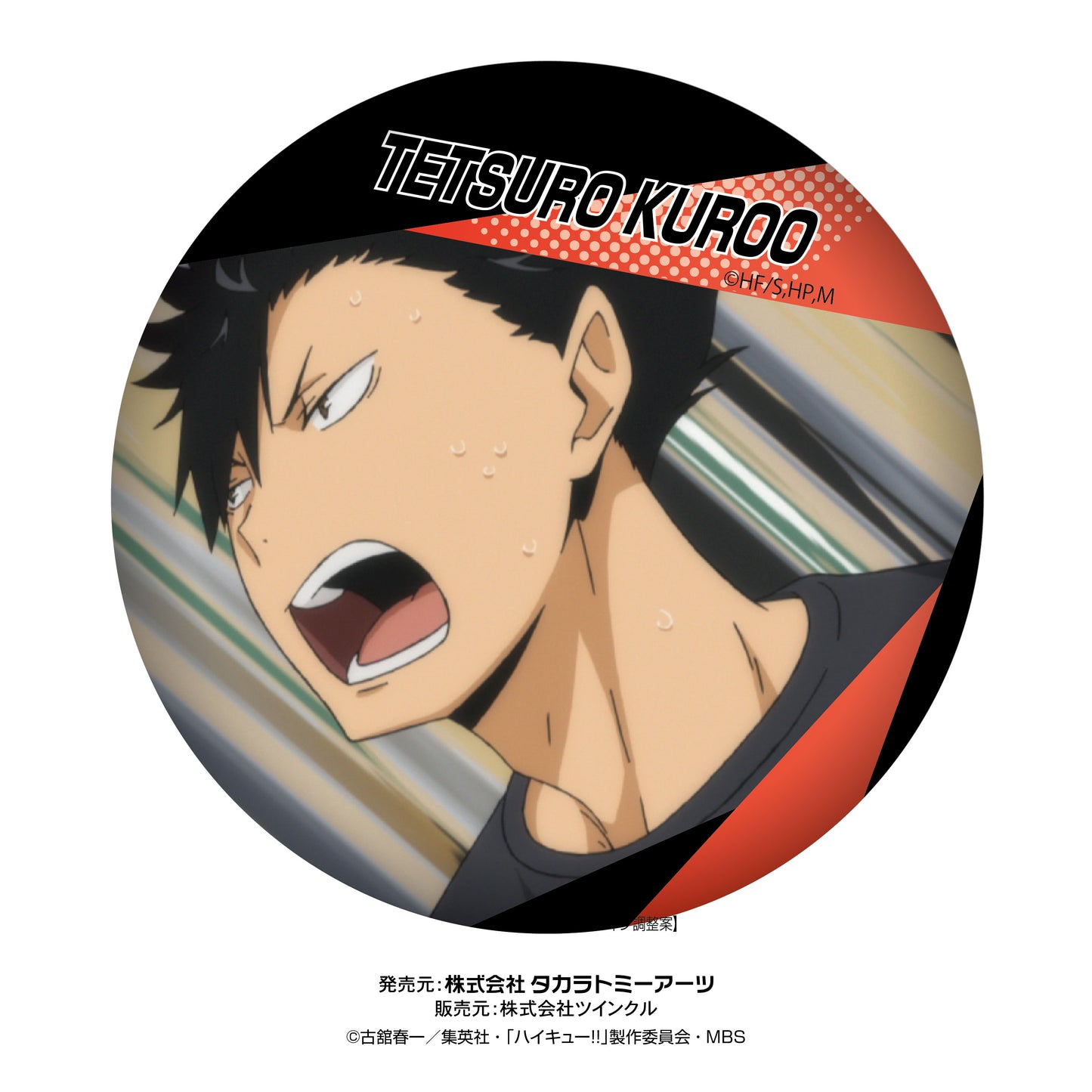 ハイキュー!!_百面相缶バッジvol.2 1BOX