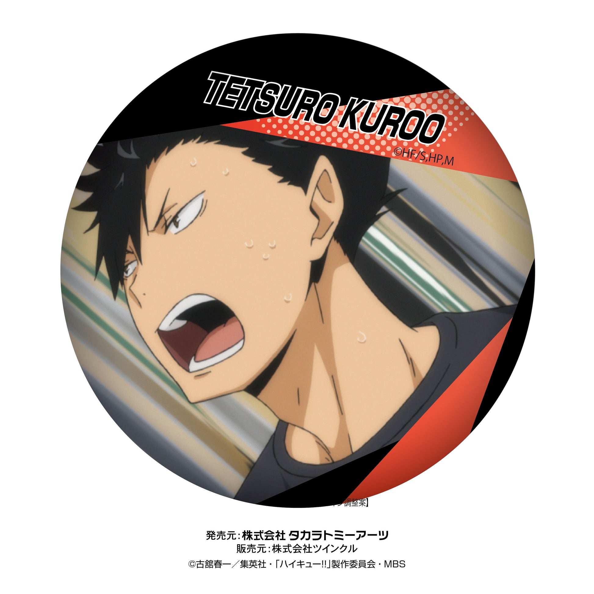 ハイキュー!!_百面相缶バッジvol.2 1BOX