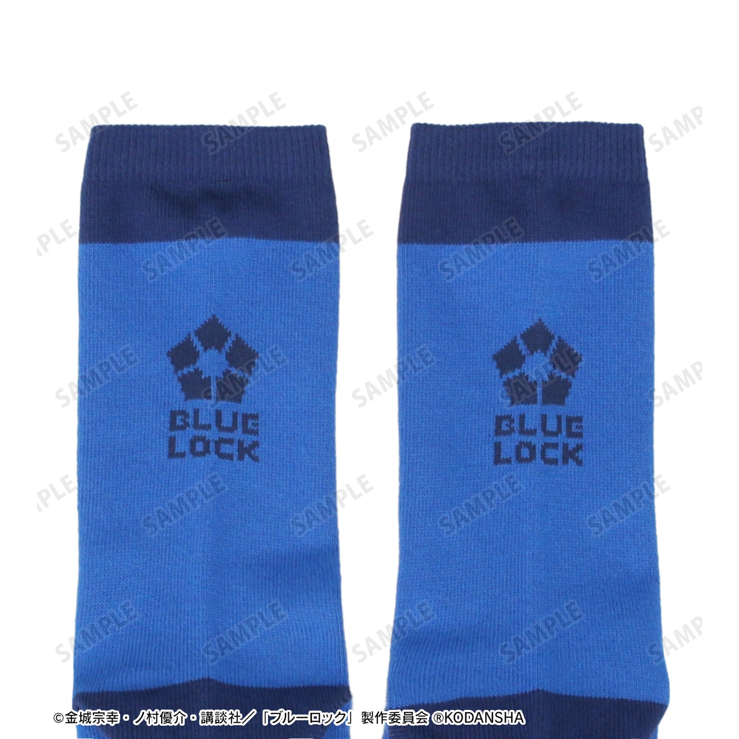 ブルーロック_支給品 靴下(サイズ/23-25cm相当)