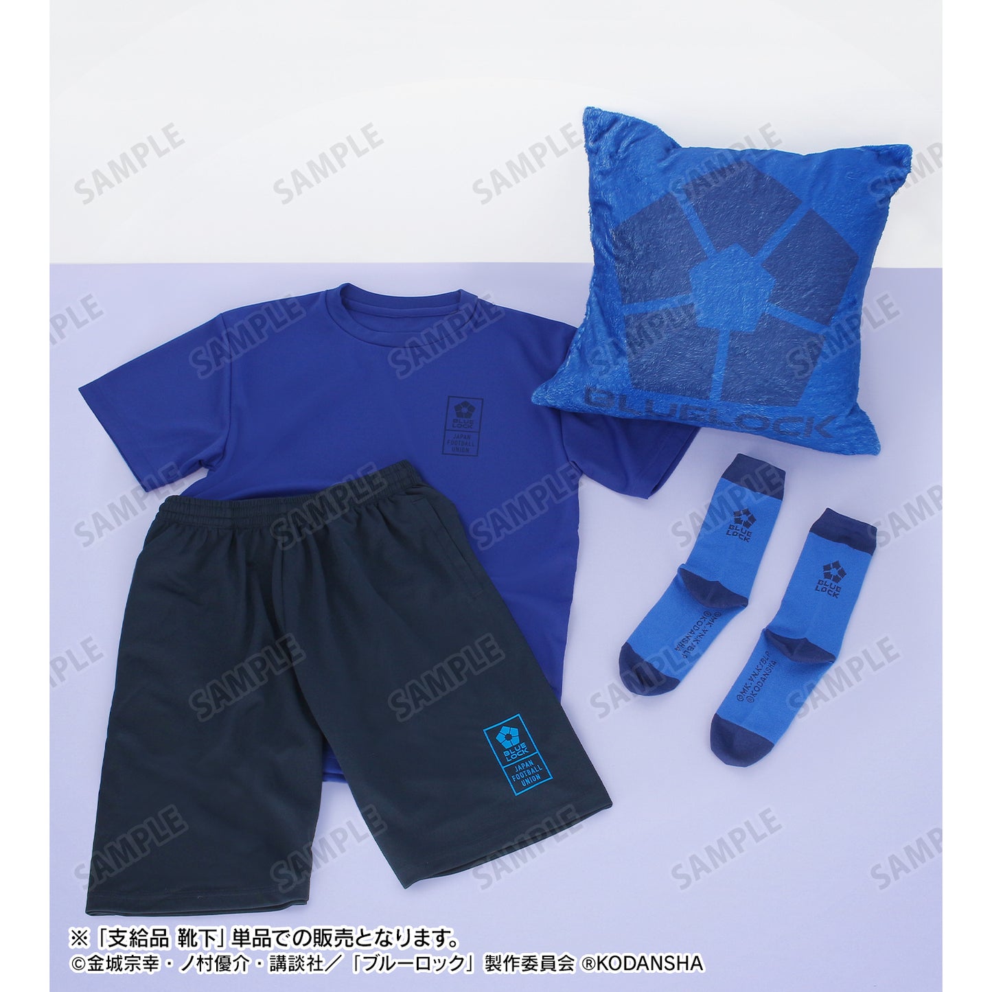 ブルーロック_支給品 靴下(サイズ/23-25cm相当)