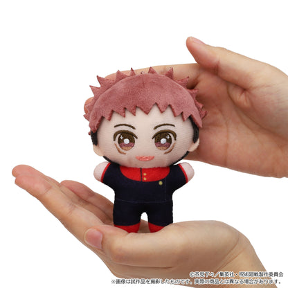 呪術廻戦　第2期_ちぃぬい（ぬいぐるみマスコット）／脹相