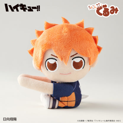 ハイキュー!!_ちょこんぐるみ　ギュっとホルダー　日向翔陽