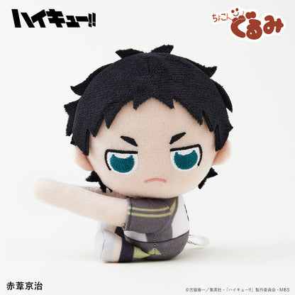 ハイキュー!!_ちょこんぐるみ　ギュっとホルダー　赤葦京治