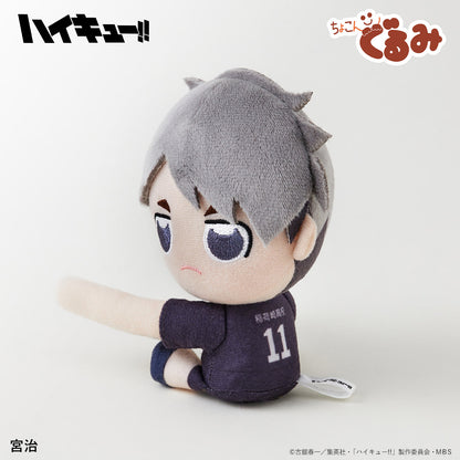 ハイキュー!!_ちょこんぐるみ　ギュっとホルダー　宮治