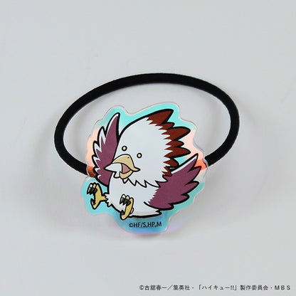 ハイキュー!!_オーロラゴムバンド　テンドウワシ