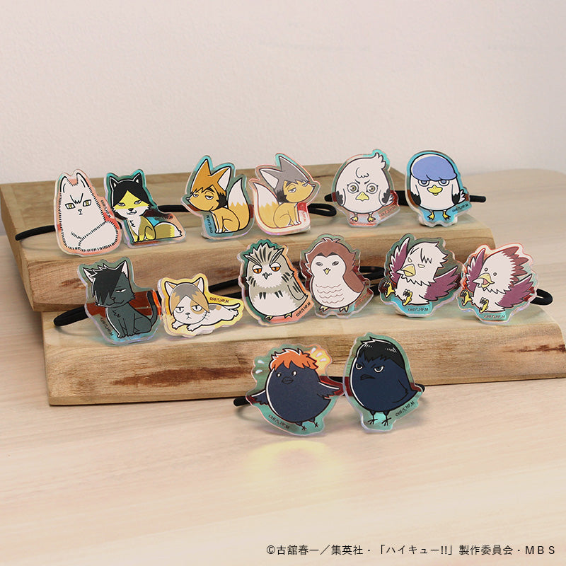 ハイキュー!!_オーロラゴムバンド　アカアシフクロウ