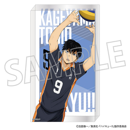 ハイキュー!!_ノーブルアート／影山飛雄