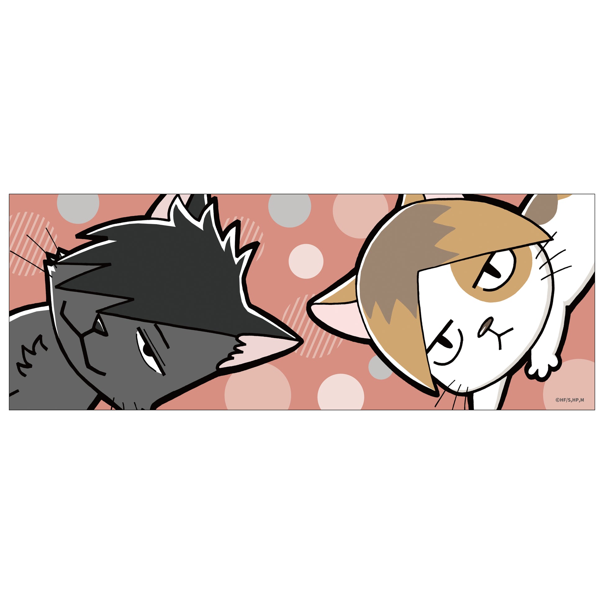 ハイキュー!!_フェイスタオル　音駒高校