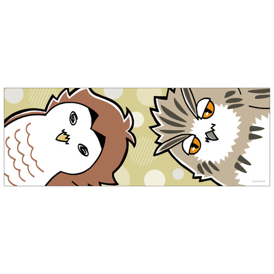 ハイキュー!!_フェイスタオル　梟谷学園高校