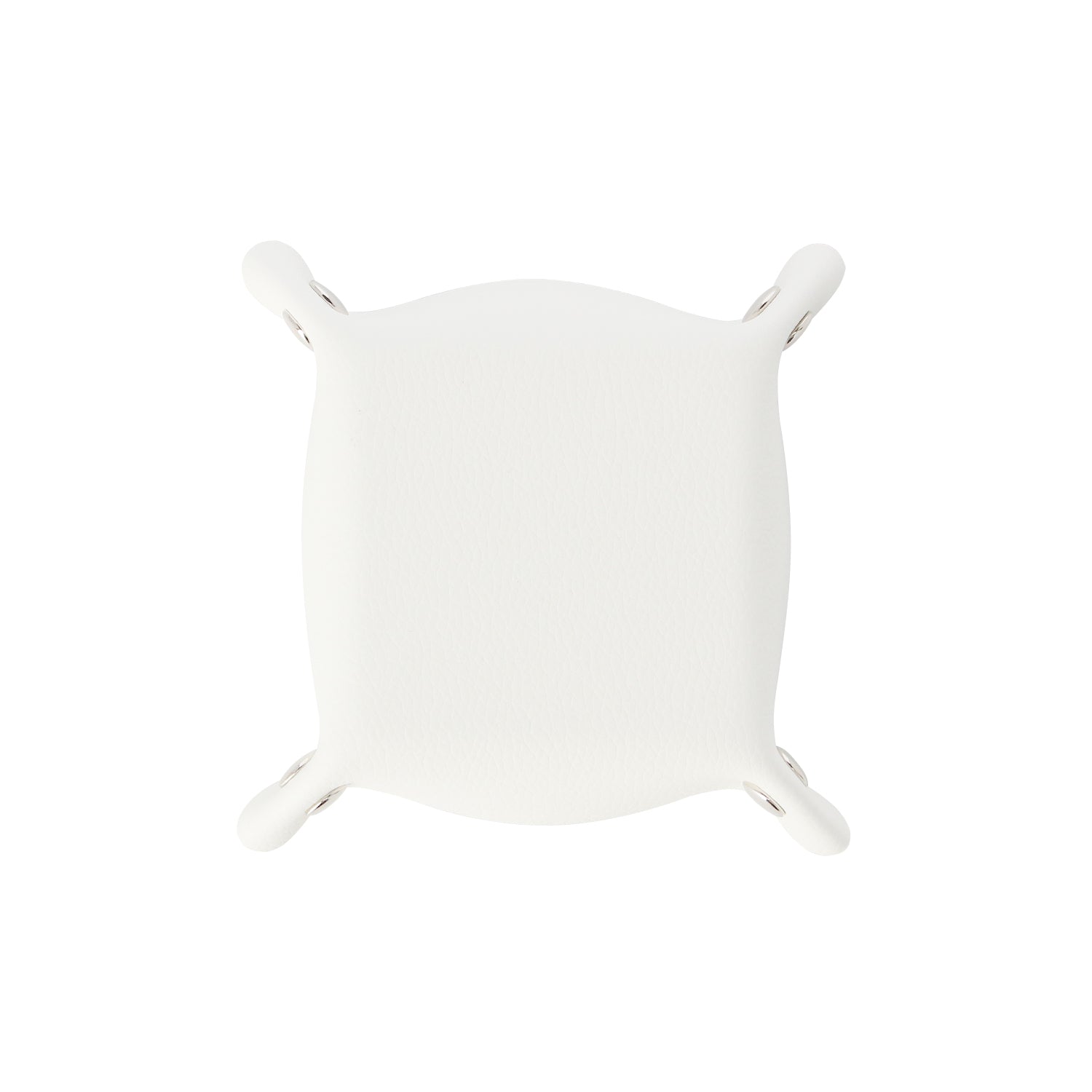 ブルーロック_凪 誠士郎&御影 玲王 Botania PUレザーマルチトレー