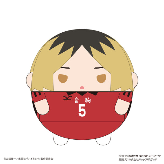 ハイキュー!!_HQ-46 ふわコロりんBIG8 A 孤爪研磨