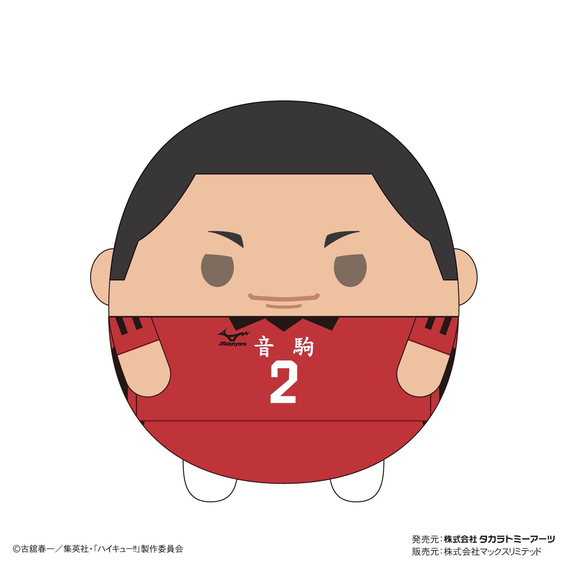 ハイキュー!!_HQ-46 ふわコロりんBIG8 E 海信行