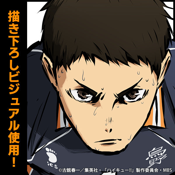 ハイキュー!!_澤村大地 アクリルスタンド(大) 勝利への闘志Ver.