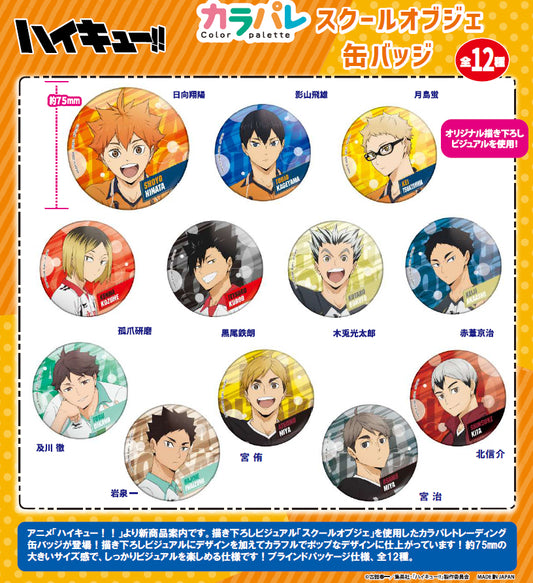 ハイキュー!!_カラパレ スクールオブジェ 缶バッジ【BOX】