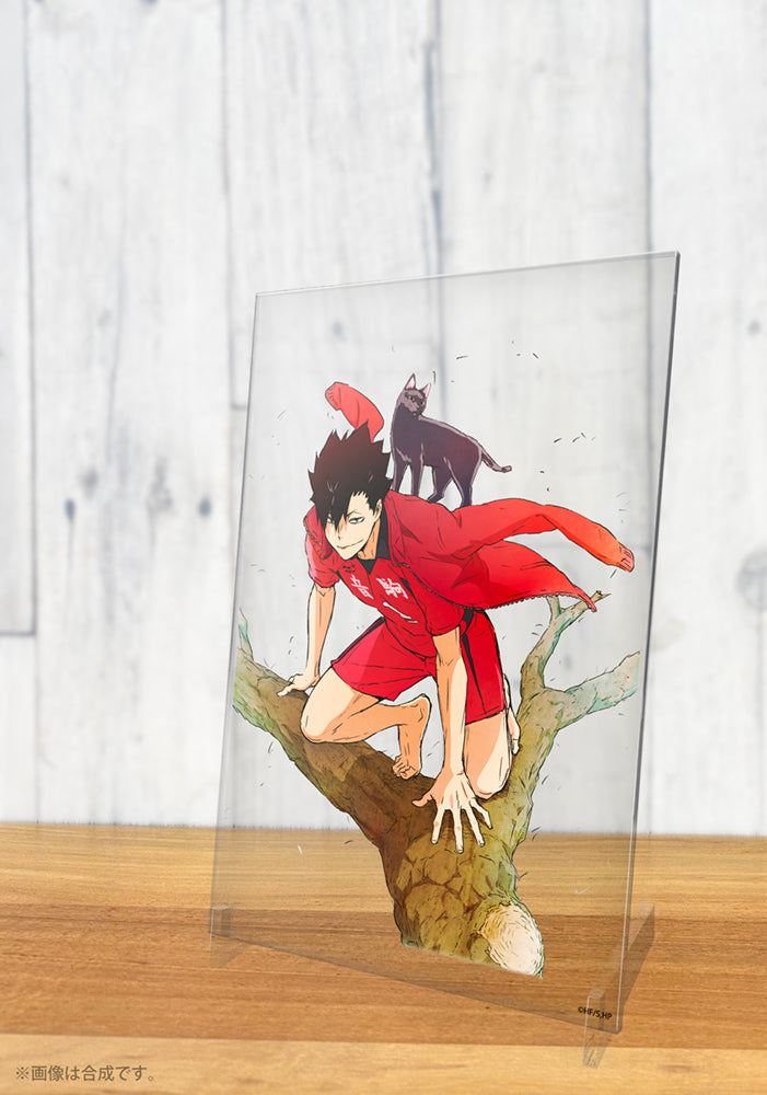 ハイキュー!!_黒尾鉄朗 アクリルアートスタンド Ver.1.0