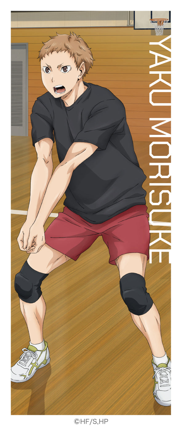 ハイキュー!!_ステッカーセット／夜久衛輔　灰羽リエーフ