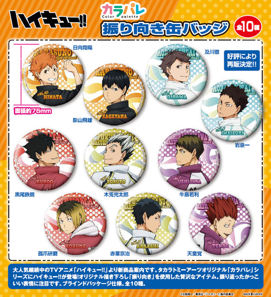 ハイキュー!!_カラパレ 振り向き 缶バッジ【BOX】