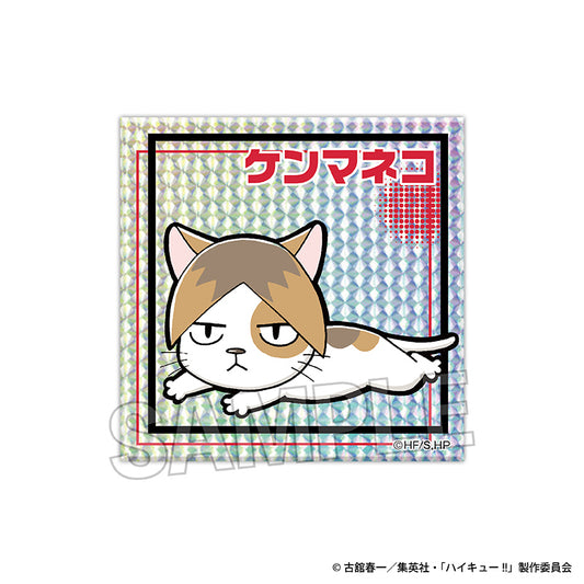 ハイキュー!!_ギラギラブロック　ケンマネコ