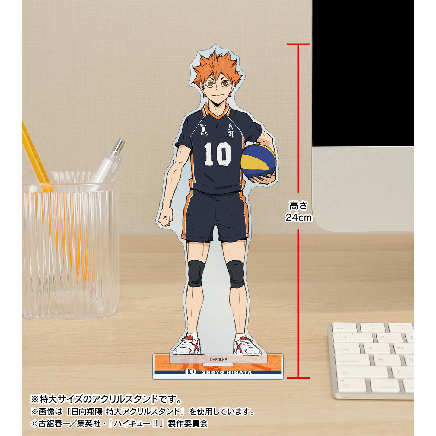 劇場版ハイキュー!! ゴミ捨て場の決戦_澤村大地 特大アクリルスタンド