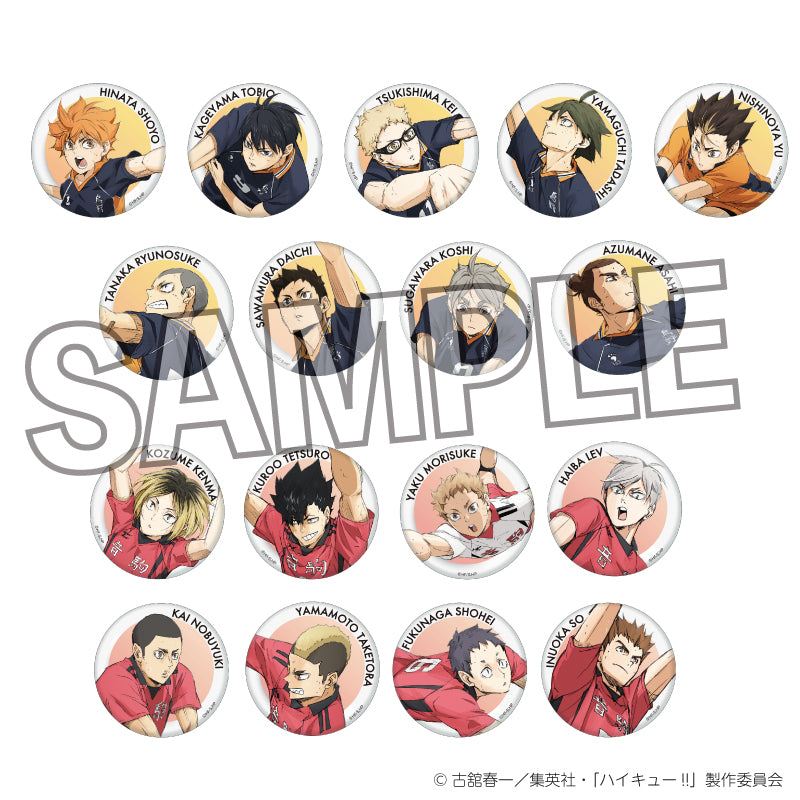 ハイキュー!!_ギラギラ缶バッジ vol.3　田中龍之介