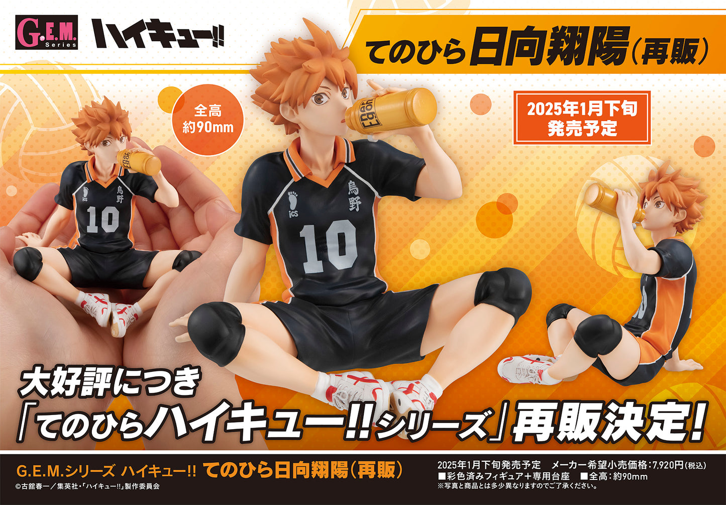 ハイキュー!!_G.E.M.シリーズ てのひら日向翔陽