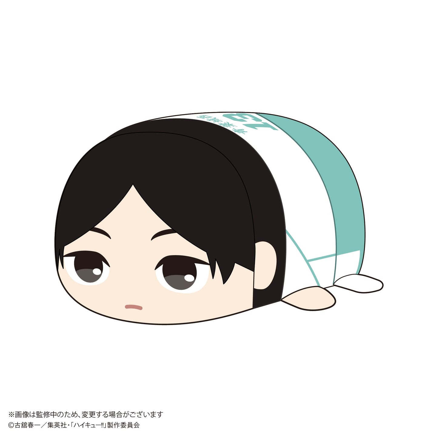 ハイキュー!!_HQ-74 ぽてコロマスコット Msize F 国見英