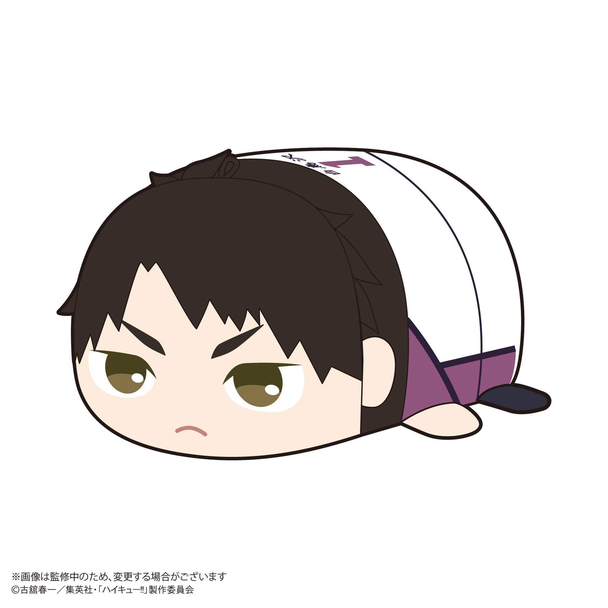 ハイキュー!!_HQ-78 ぽてコロマスコット2【BOX／6個入り】